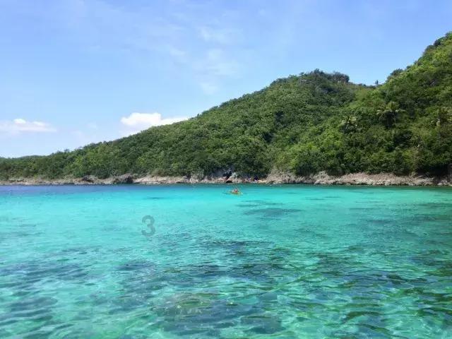 除虫大师